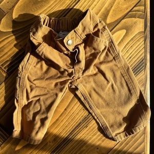 Carhartt Canvas Pants
